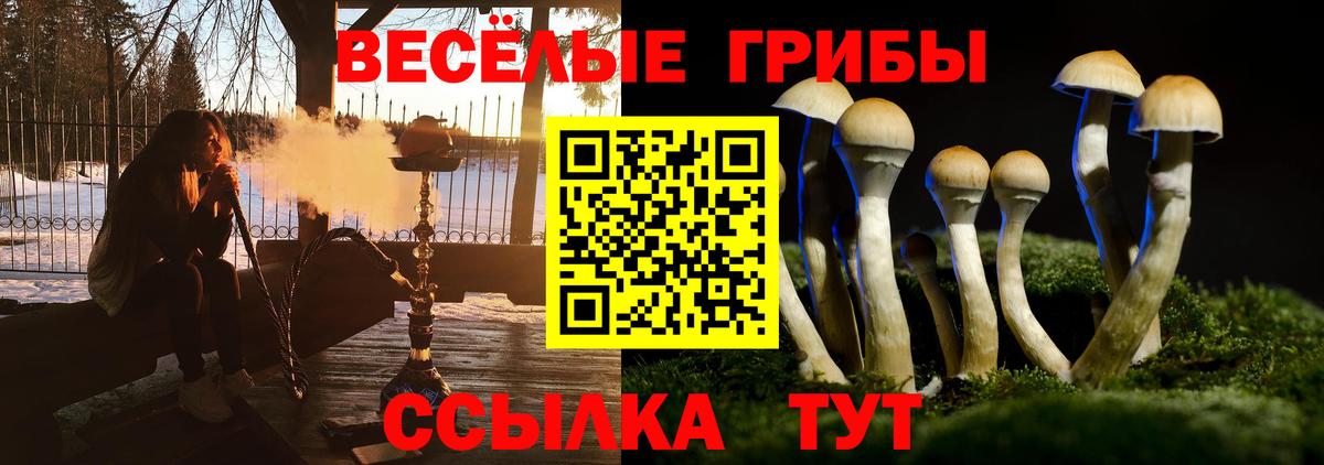Крымск  Галлюциногенные грибы Psilocybine cubensis  Вход с VPN  Псилоцибиновые грибы Psilocybine cubensis 